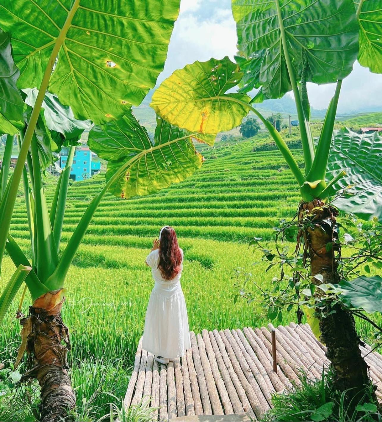 Boutique En Hotel Sapa 外观 照片